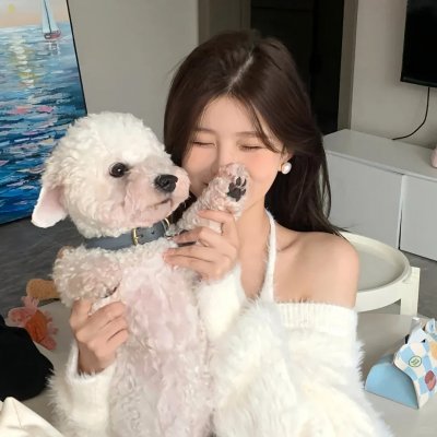 顽童怪盗